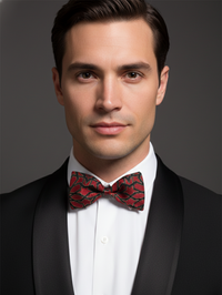 Elegant Red and Black Silk Bow Tie – Formal Men’s Accessory view 2