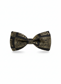 The Stellar Noir: Silver-Etched Midnight Elegance view 1